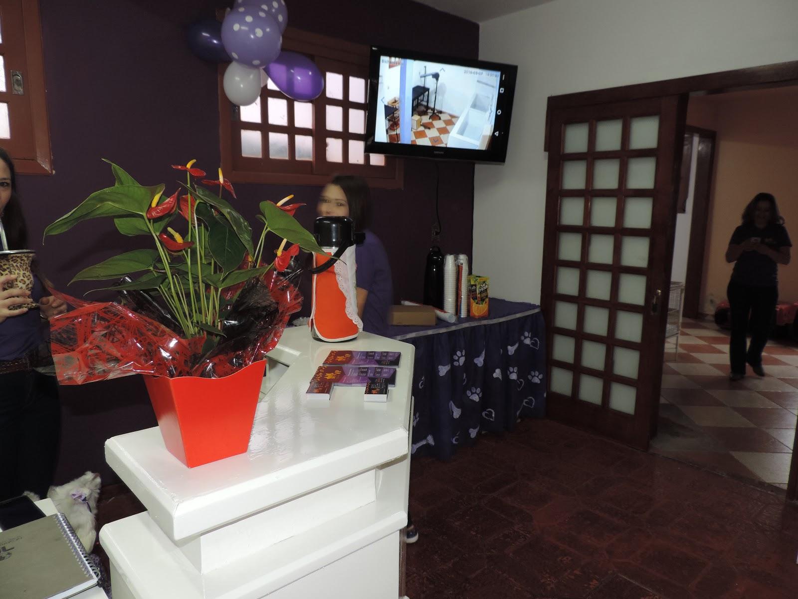 Bichanos Vip PETSHOP