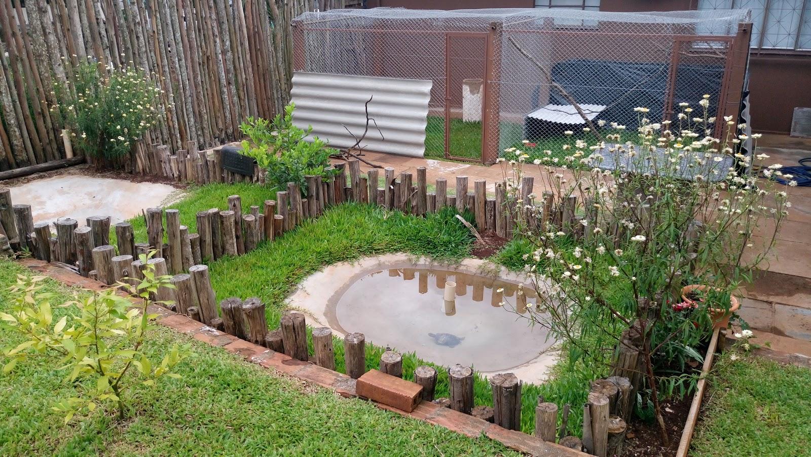 Clínica Vet Selvagem