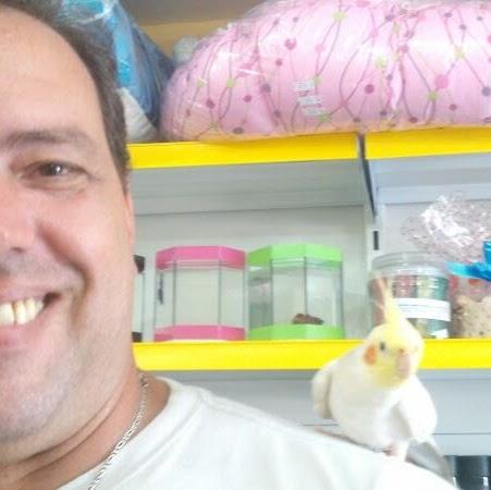 Pelos & Patas - Foto 3
