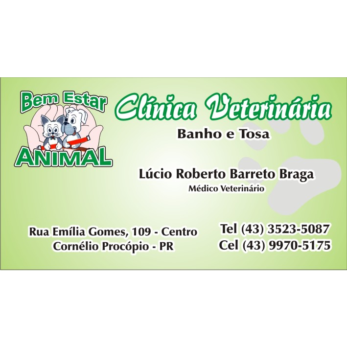 Bem Estar Animal - Foto 5