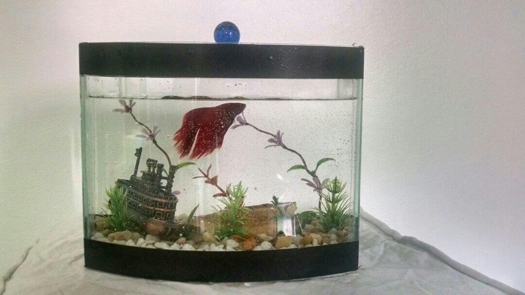 Agro Pet Shop Vila Nova