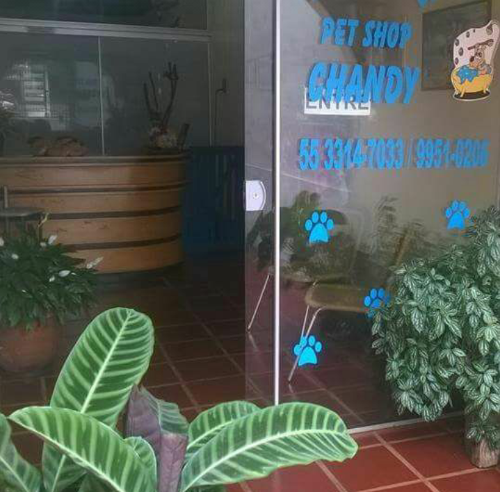 Pet Shop Chandy - Foto 3
