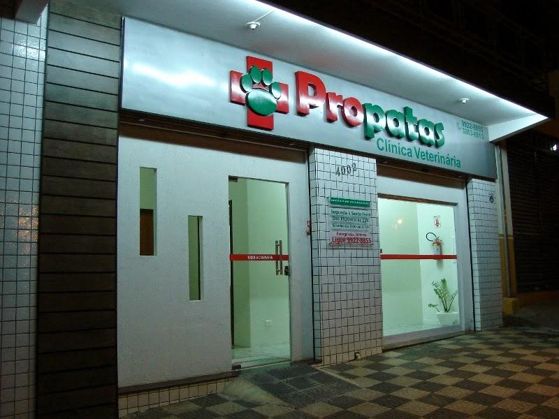 Clínica Veterinária Propatas - Pet Shop em Maringá