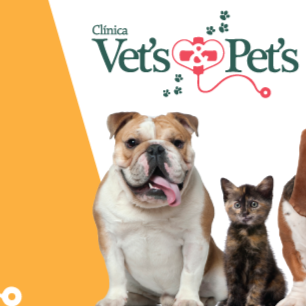 Clínica Veterinária Vets e Pets