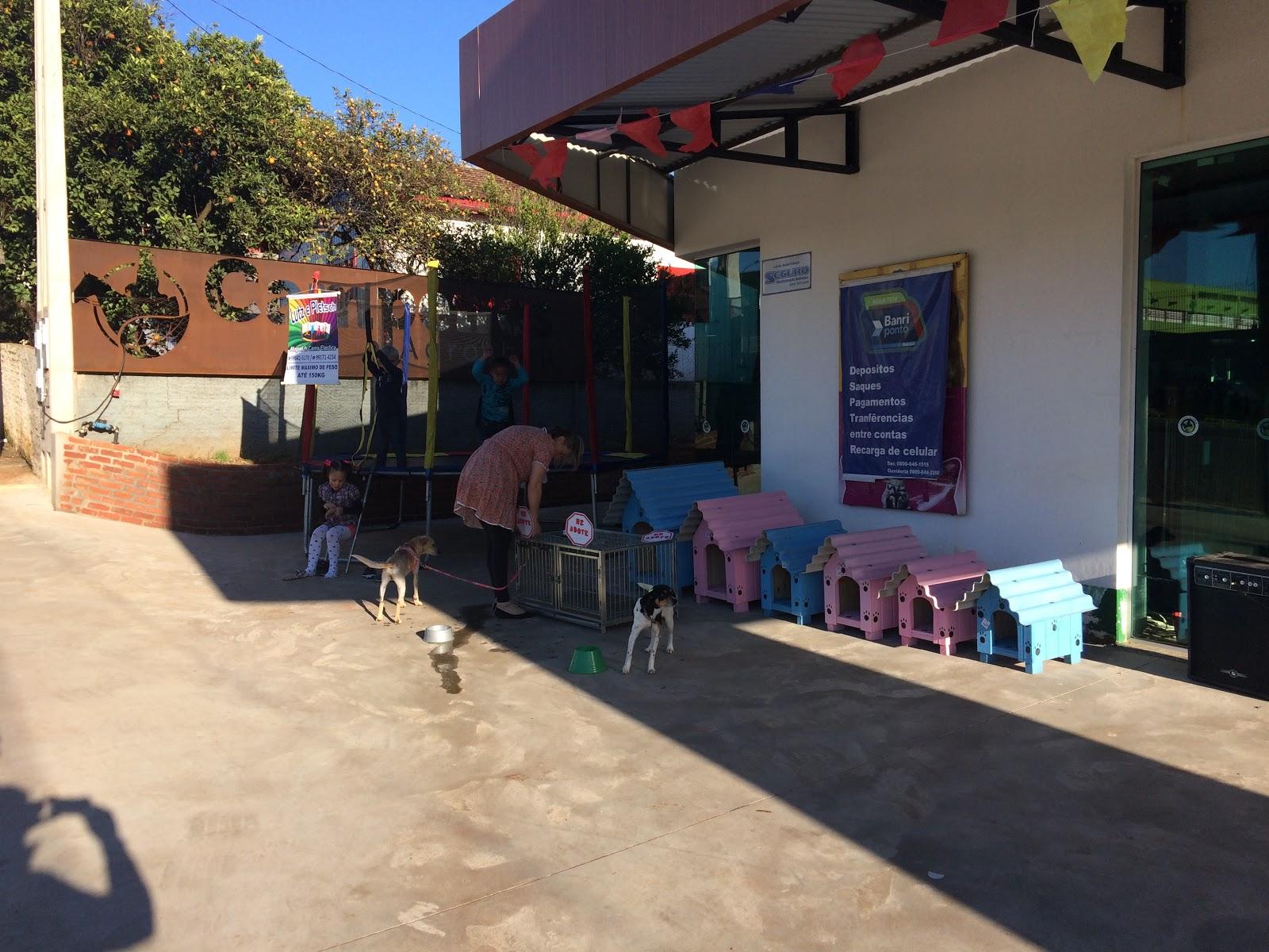 Campeiros Agroshop - Foto 4