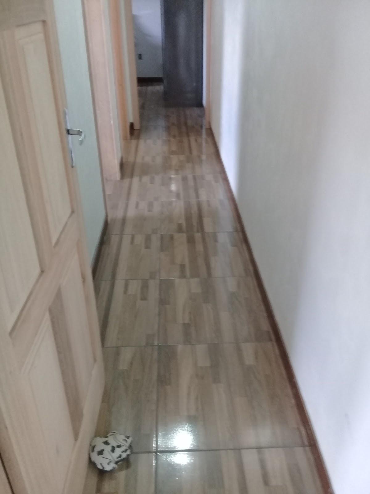 Hora do Banho Estética Animal