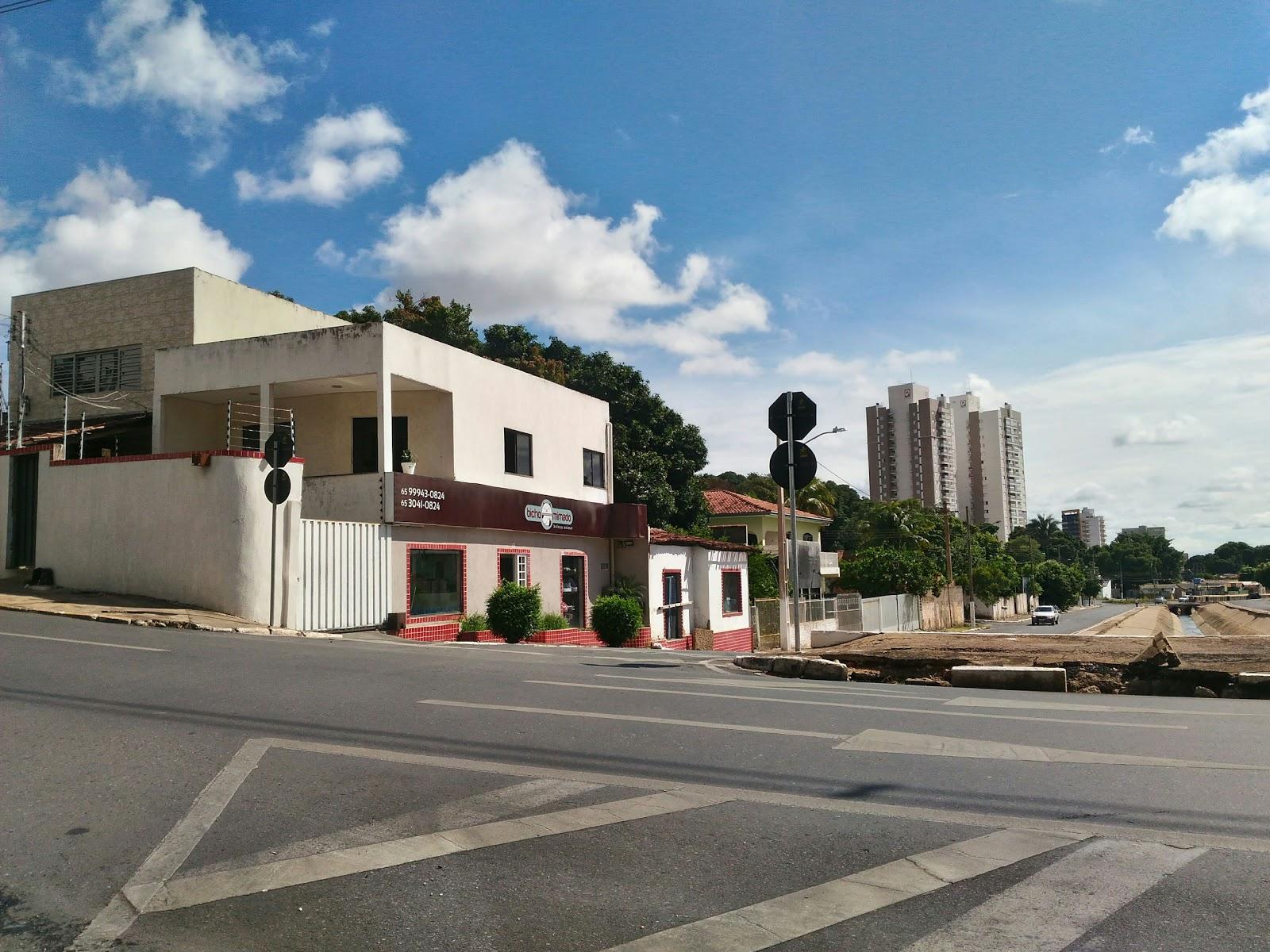 Bicho Mimado Beleza Animal