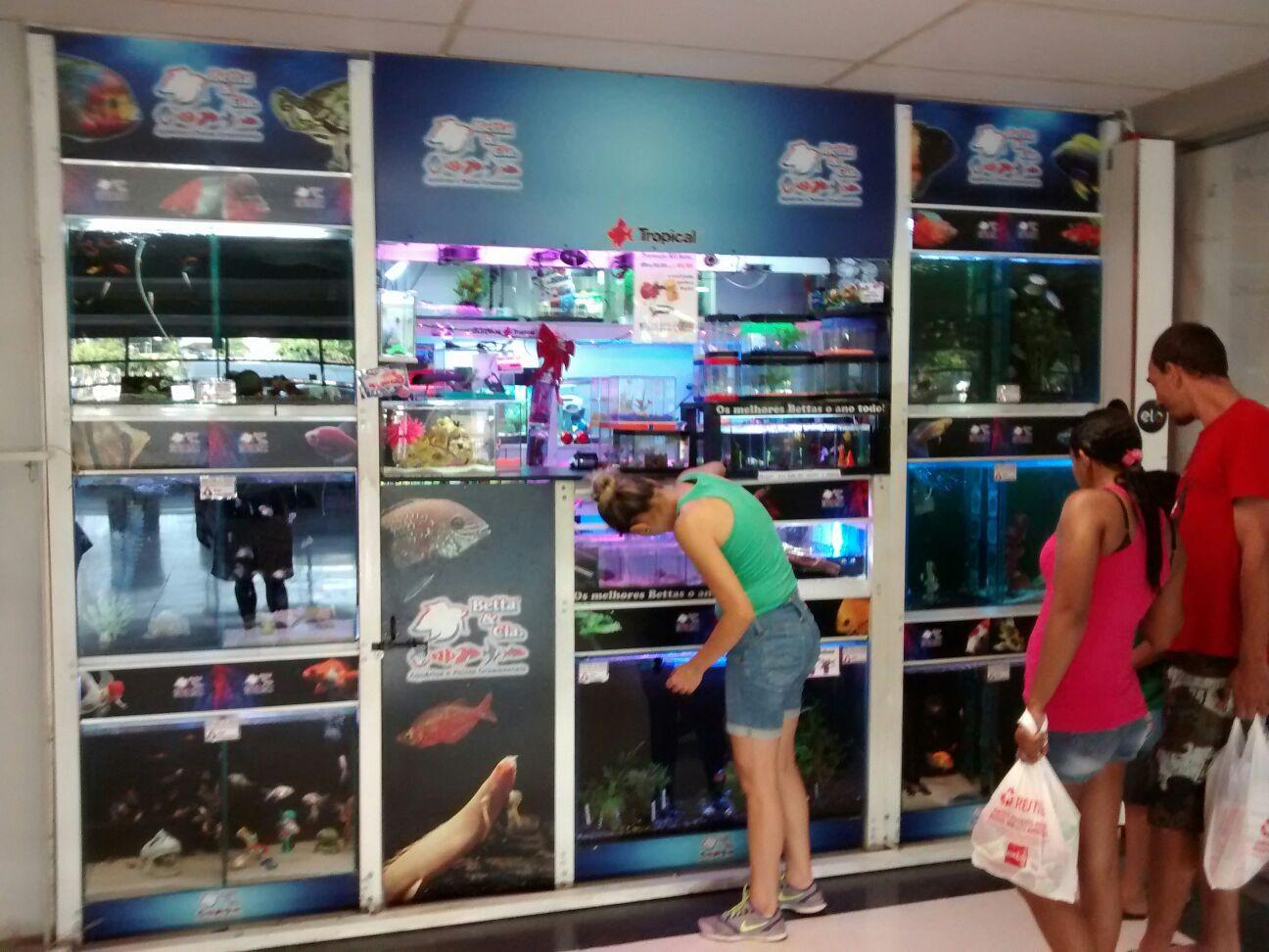 Betta and Co. and Aquariums Tropical Fish