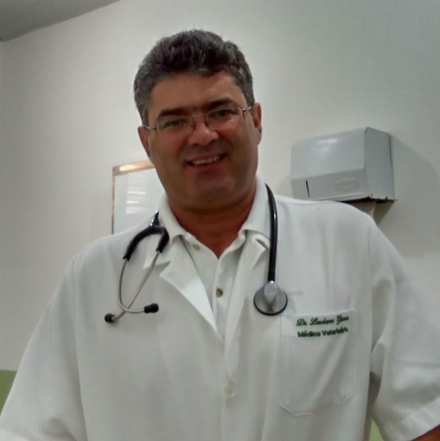 Veterinária São Benedito