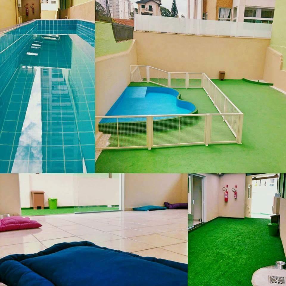 DogZone - Foto 3