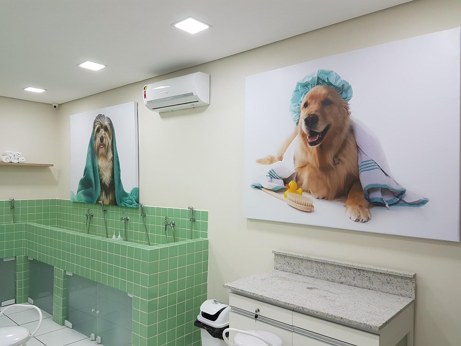 DogZone - Pet Shop em Santo André