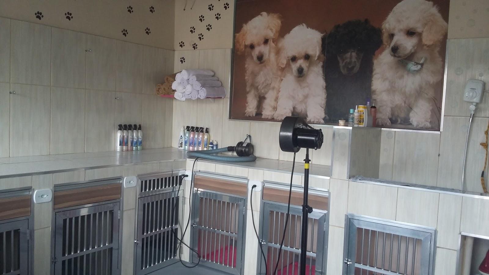 Banho e Tosa Animal Chick