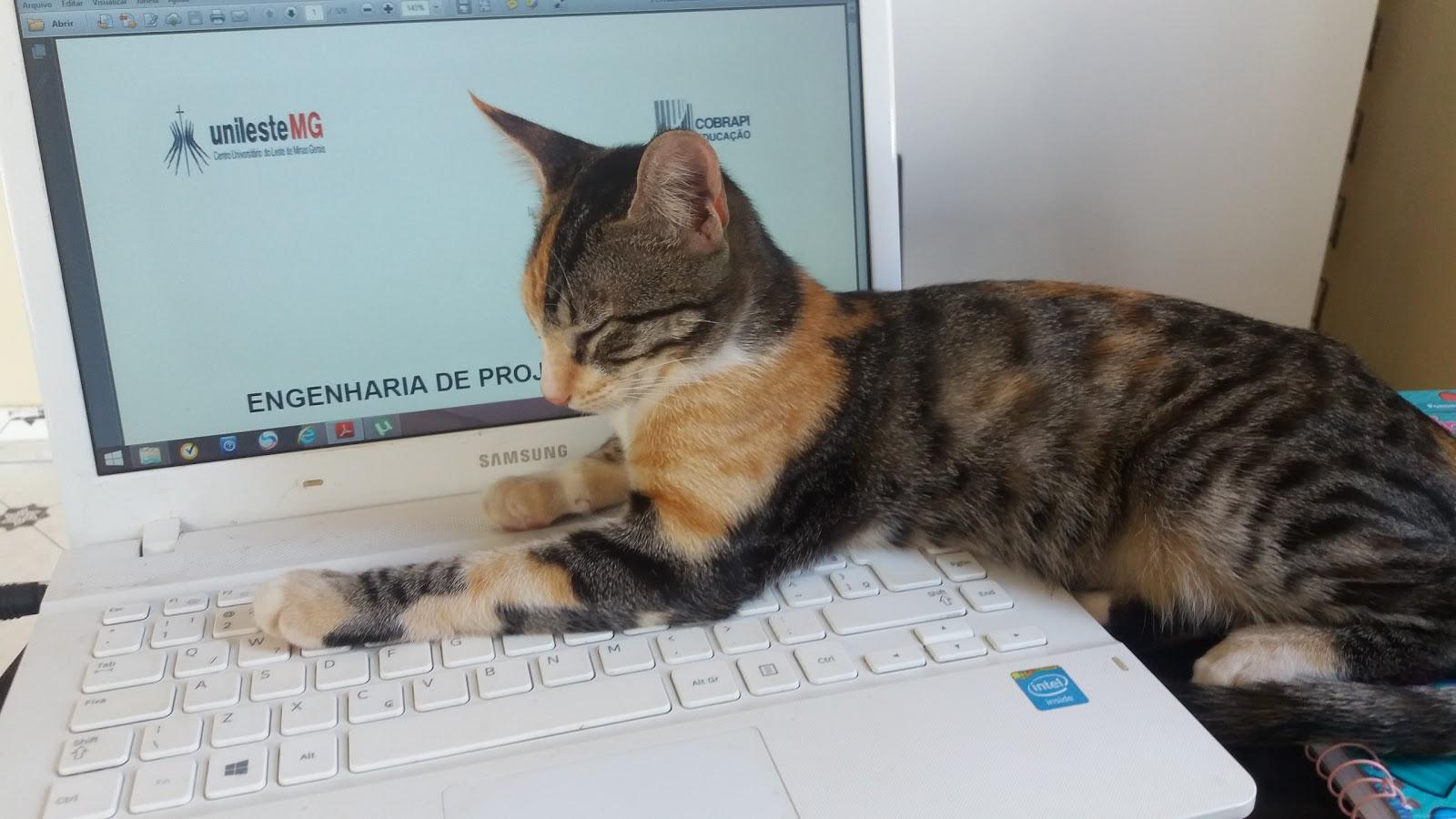 Pet Shop e Clínica Bichos e Caprichos