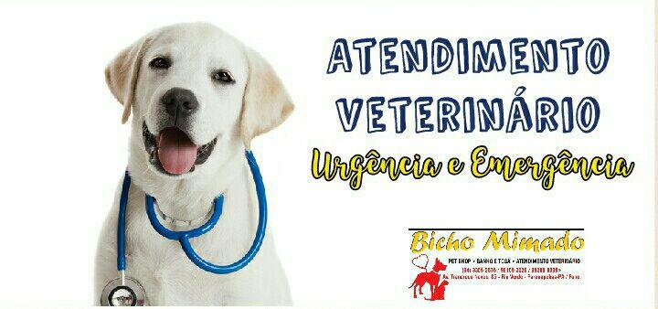 Bicho Mimado Pet Shop e Clínica Veterinária