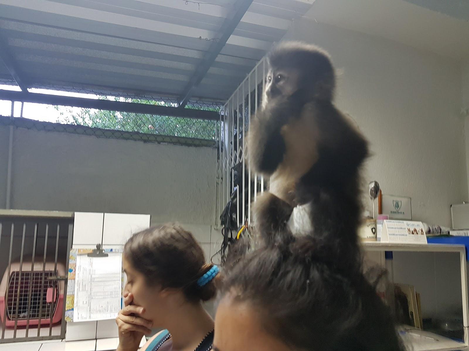 Veterinary clinic Zoovet - Foto 5