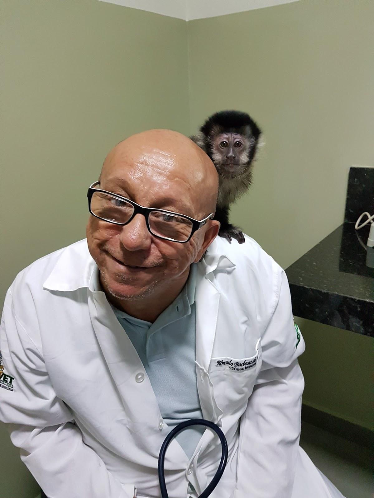 Veterinary clinic Zoovet - Foto 3