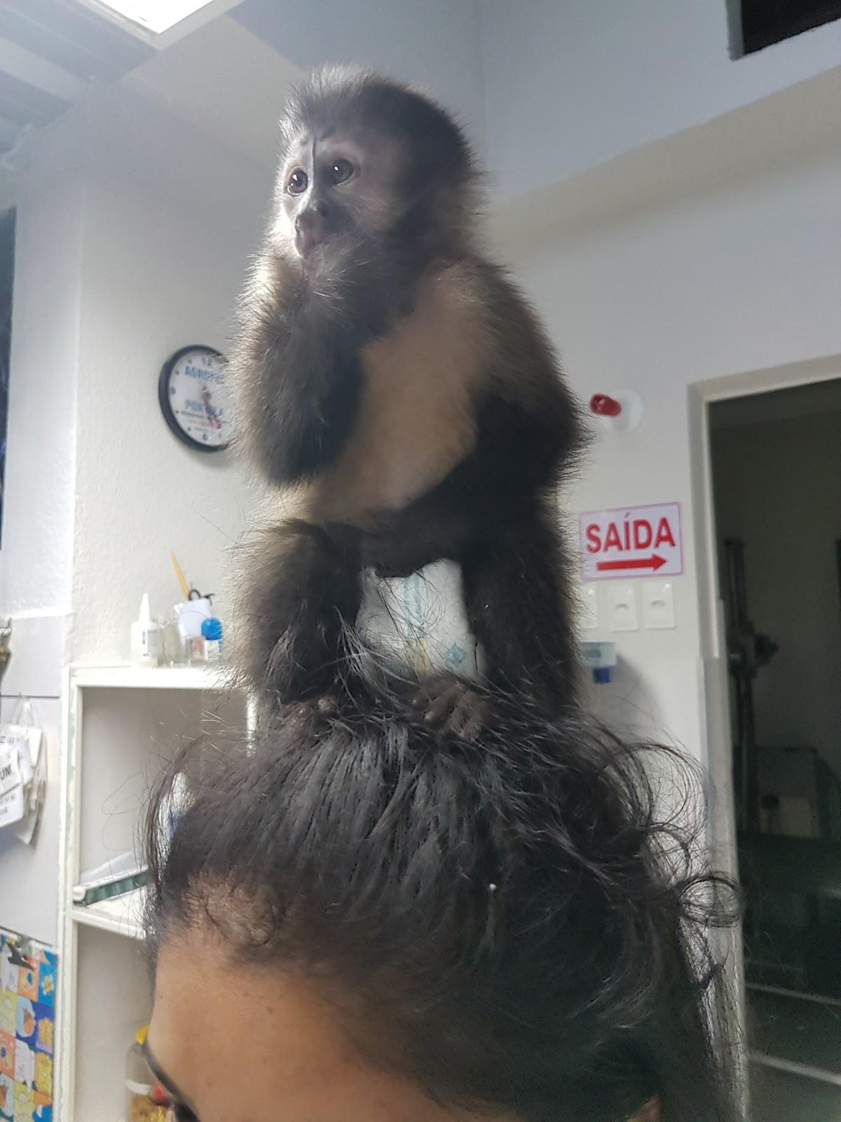 Veterinary clinic Zoovet - Foto 4