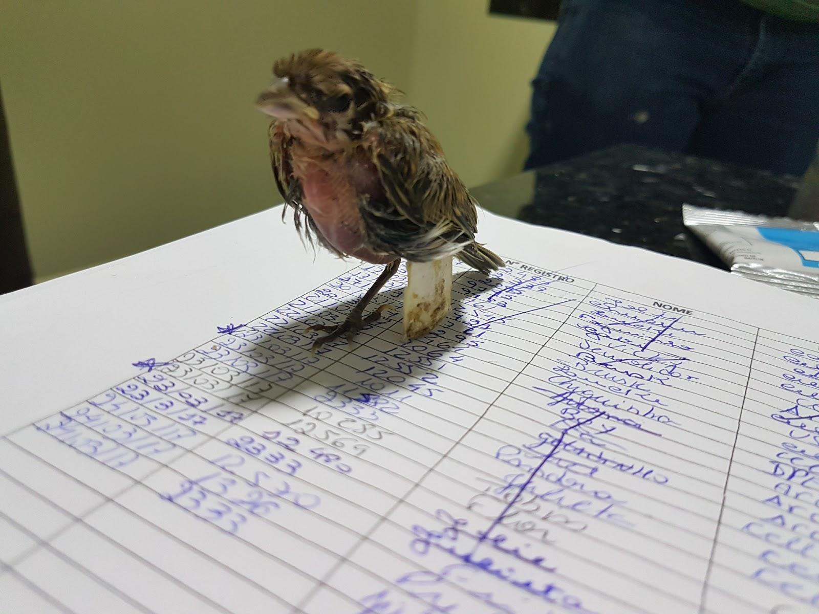 Veterinary clinic Zoovet - Foto 2