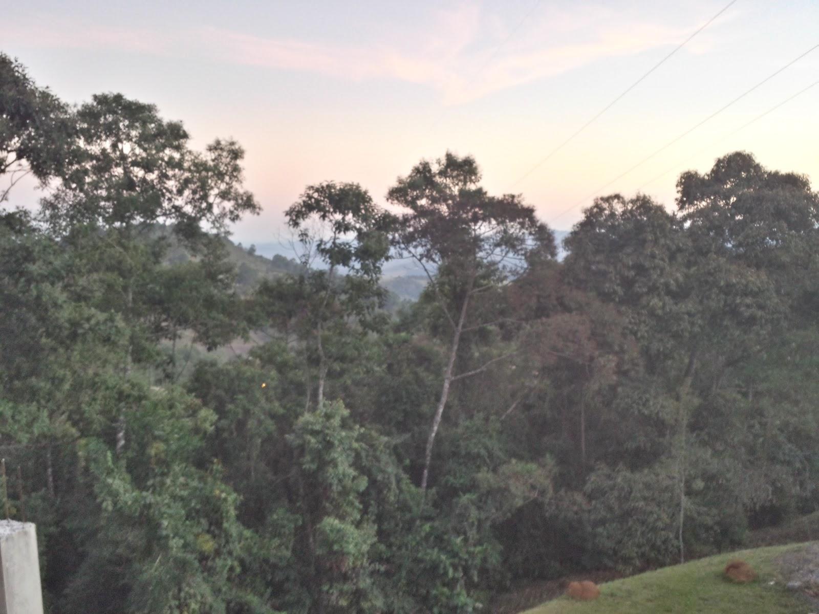 Dog Foods Agropecuária