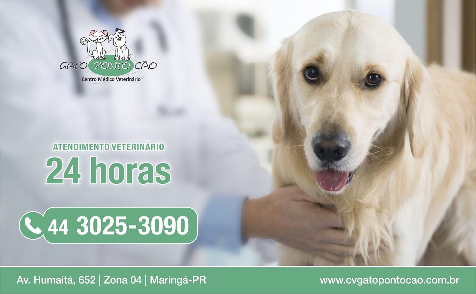 Gato Ponto Cão Clínica Veterinária e Pet Shop