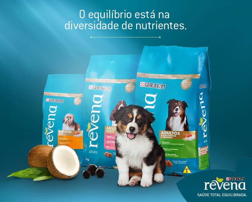 PETS & MIMOS - Foto 5