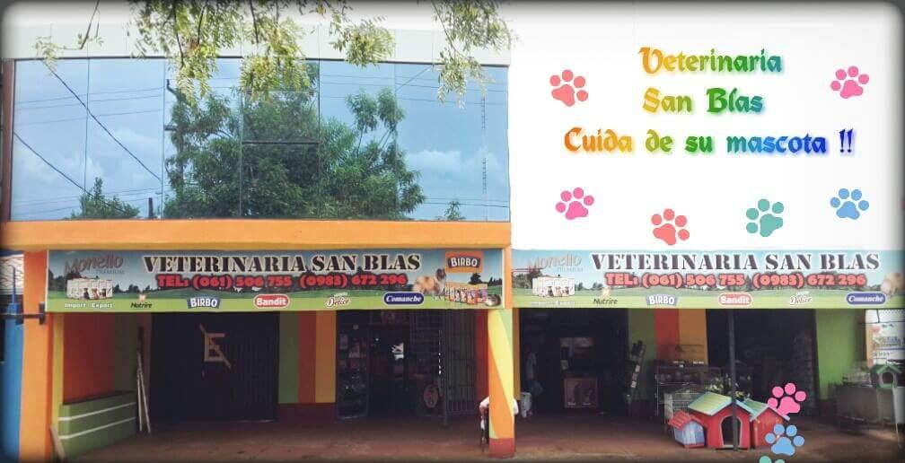 Veterinaria San Blas - Foto 3