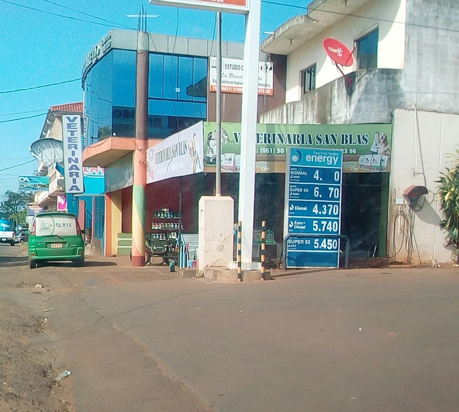 Veterinaria San Blas - Foto 4