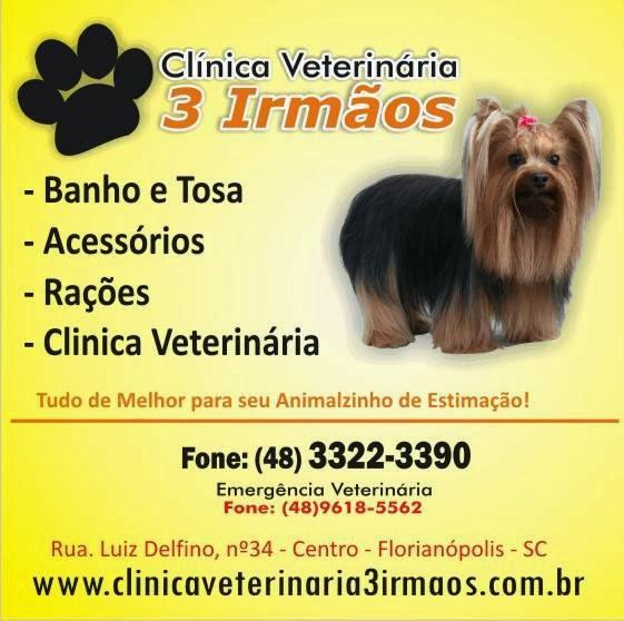 Veterinary Clinic 3 Brothers - Foto 2