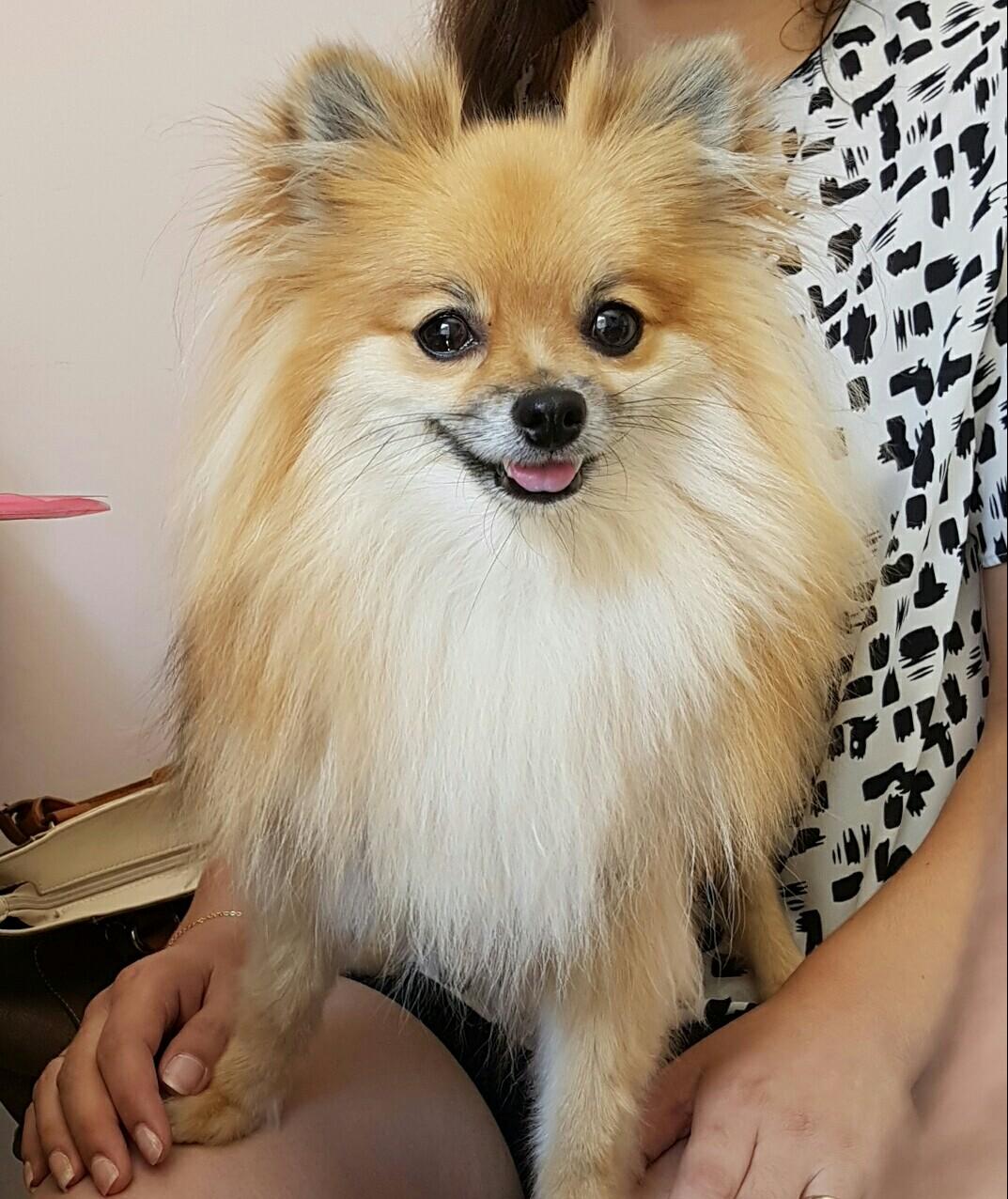 Vetval Clínica Veterinária na Trindade