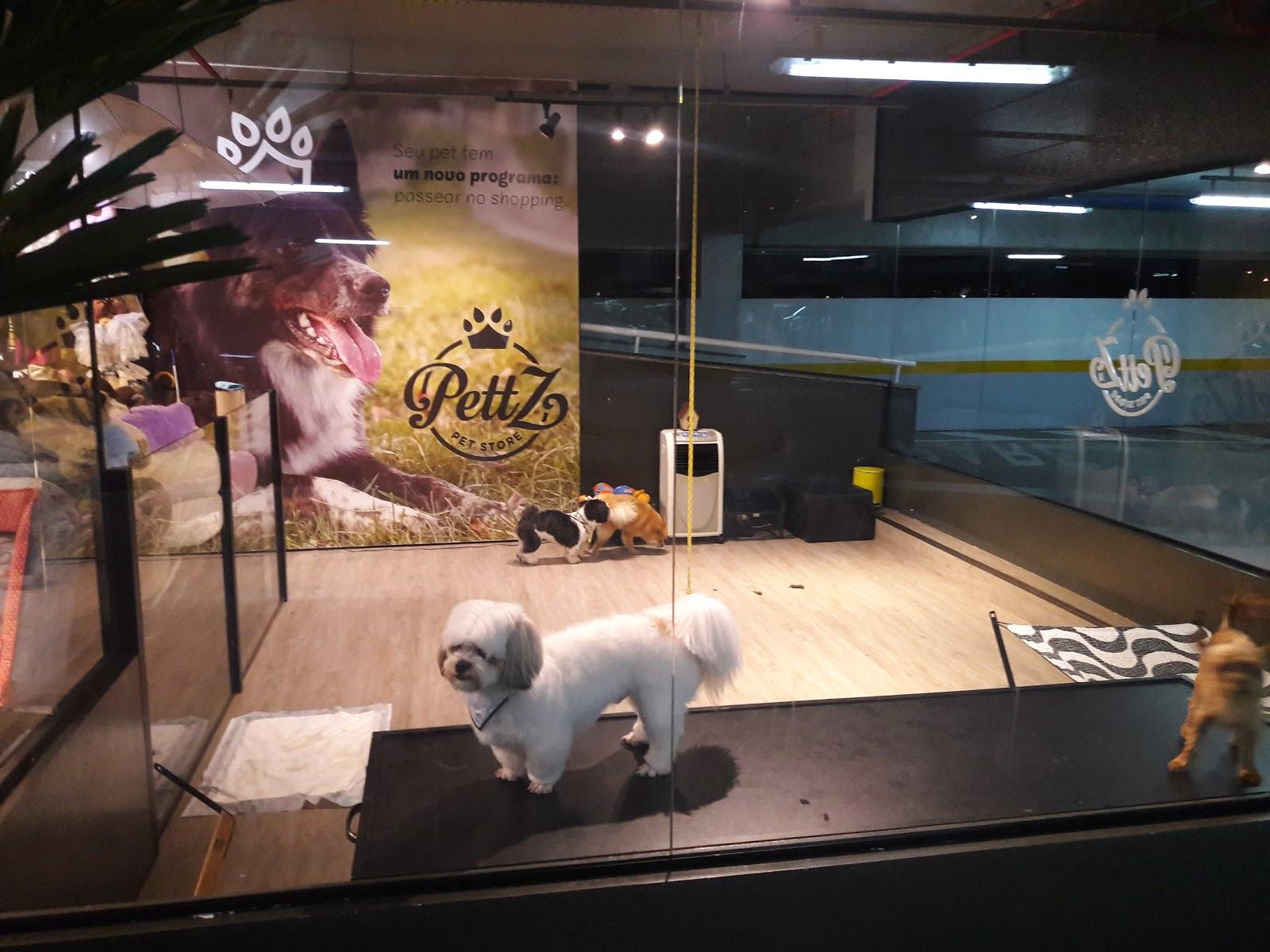 PettZ Store - Foto 2