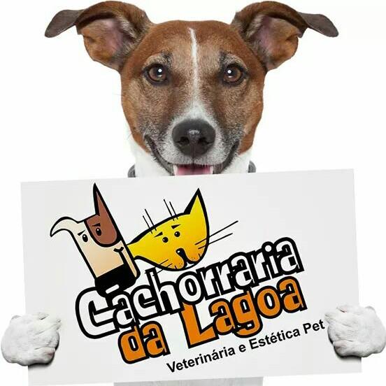 Cachorraria da Lagoa - Veterinária - Banho e Tosa - Hotel para Cães