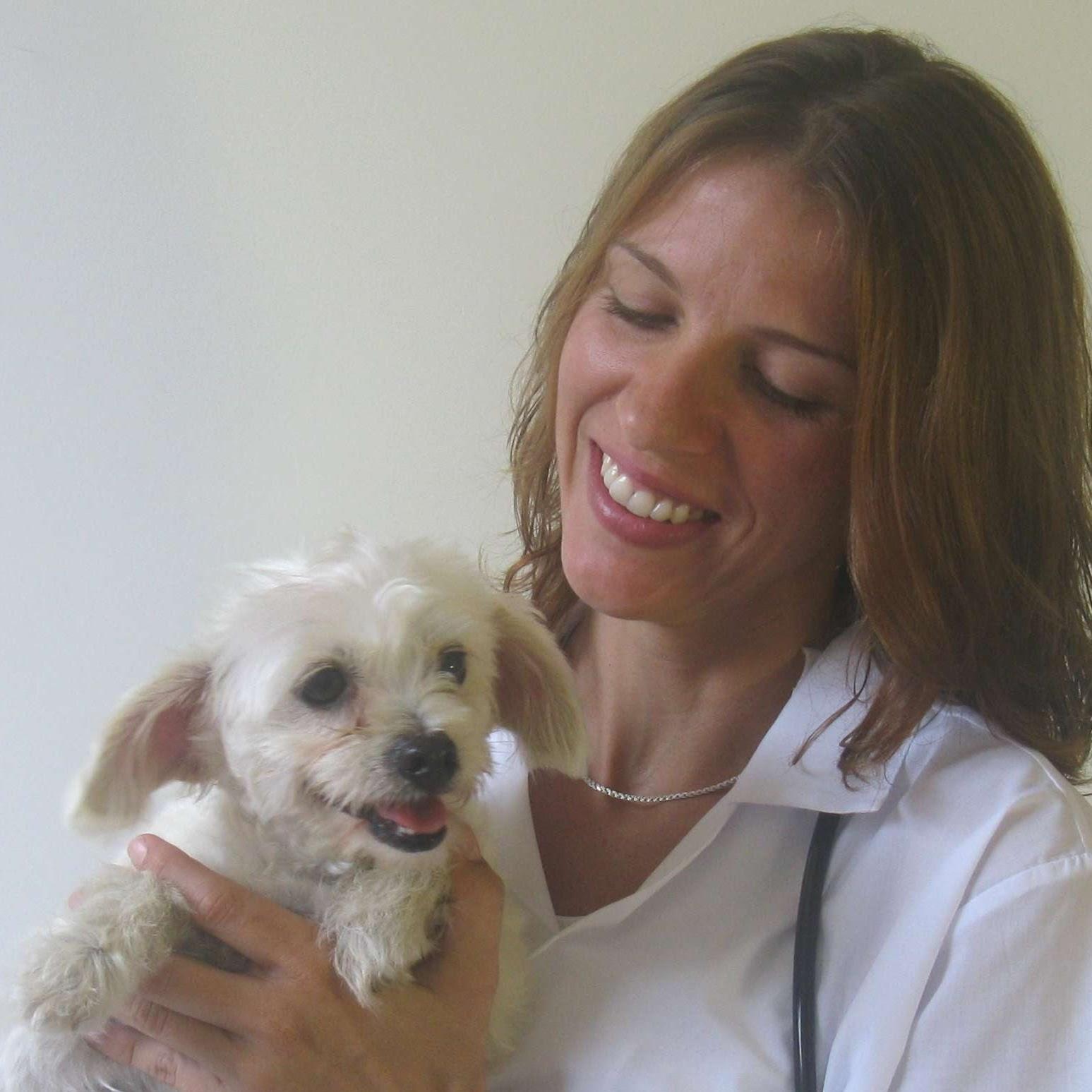 Vet em Casa - Veterinária domiciliar Sul da Ilha - Consultas Vacinas e Emergências