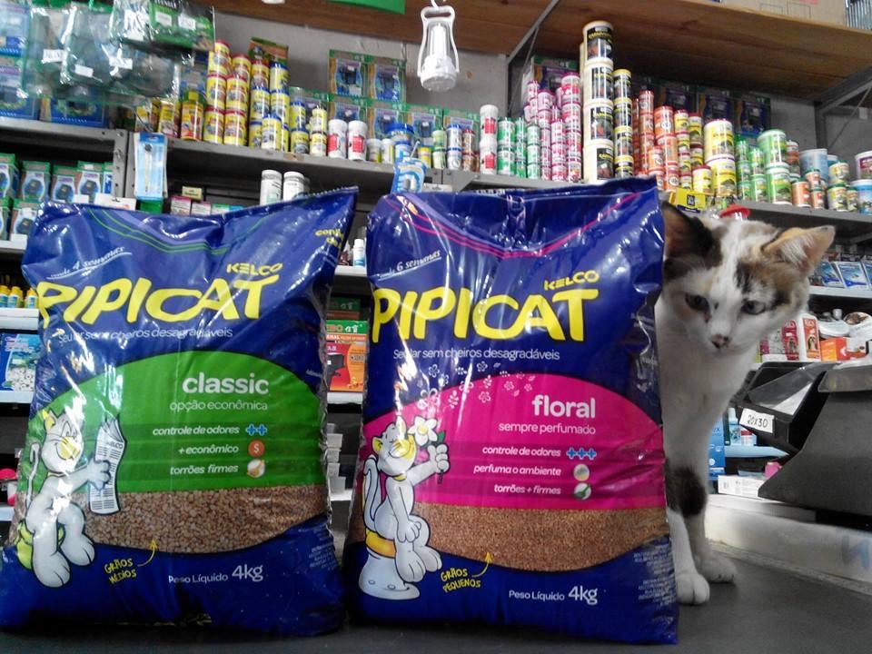 Águia: ração, pesca e aquarismo