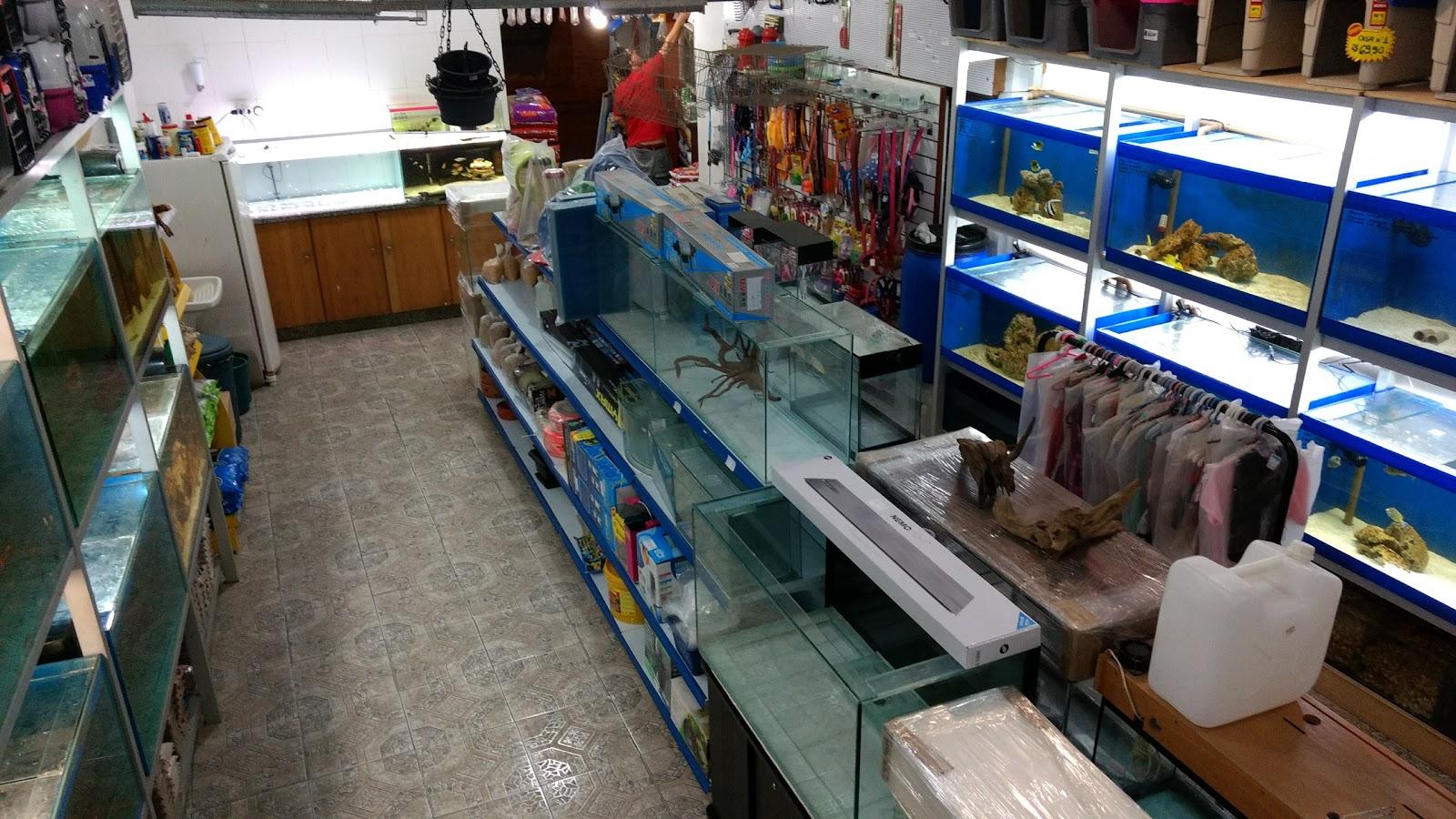 Fox Petshop e Aquarismo - Niterói