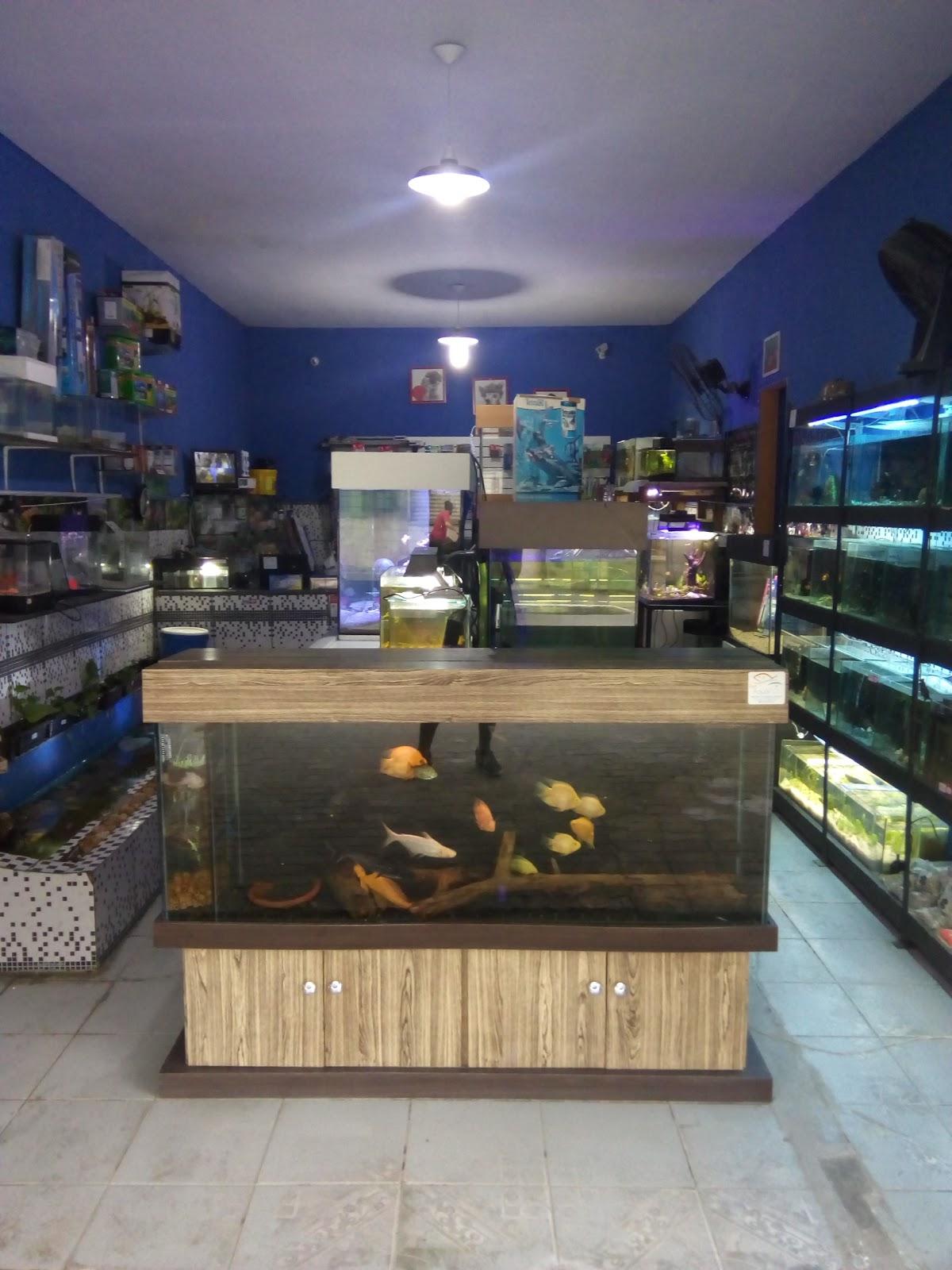 Pet Aquafish - Pet Shop em Magé
