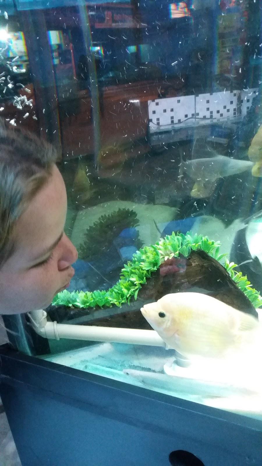Pet Aquafish - Foto 3