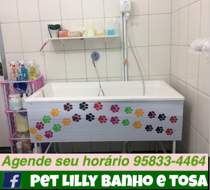Pet Lilly Banho e Tosa