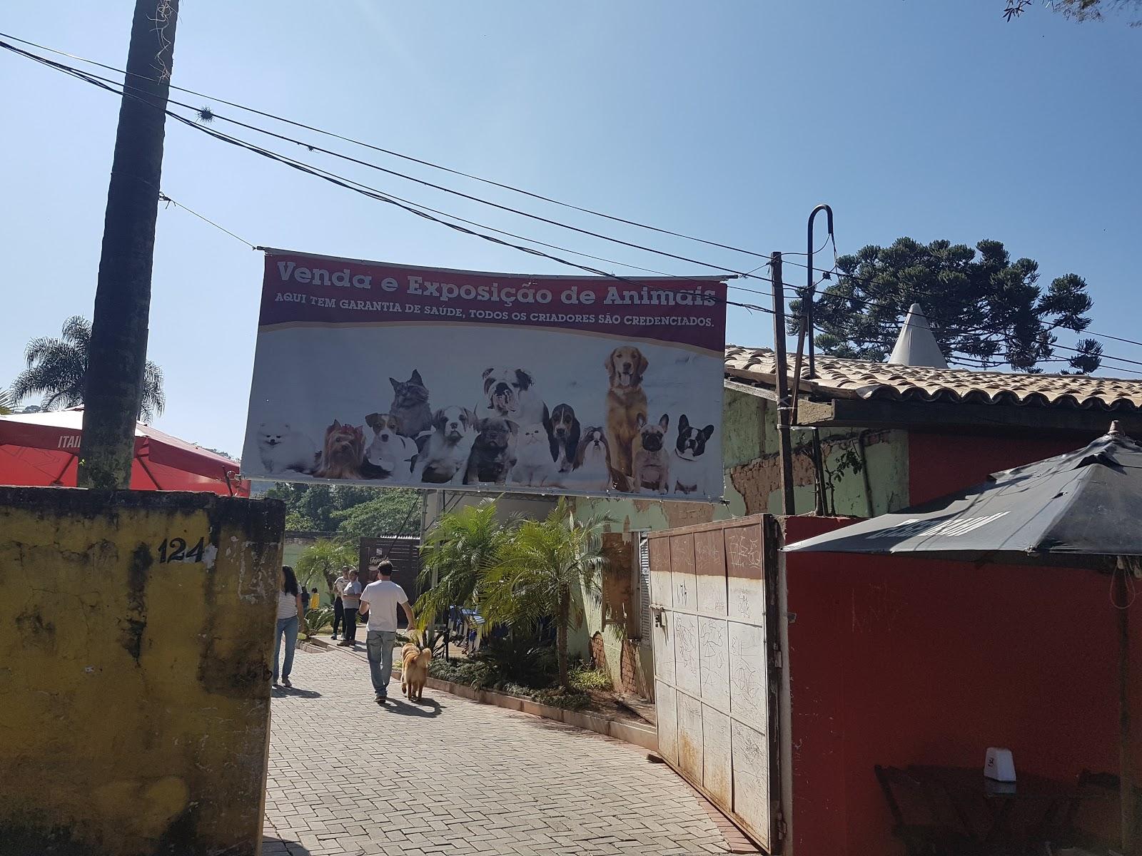Filhotes Embu das Artes - Foto 2