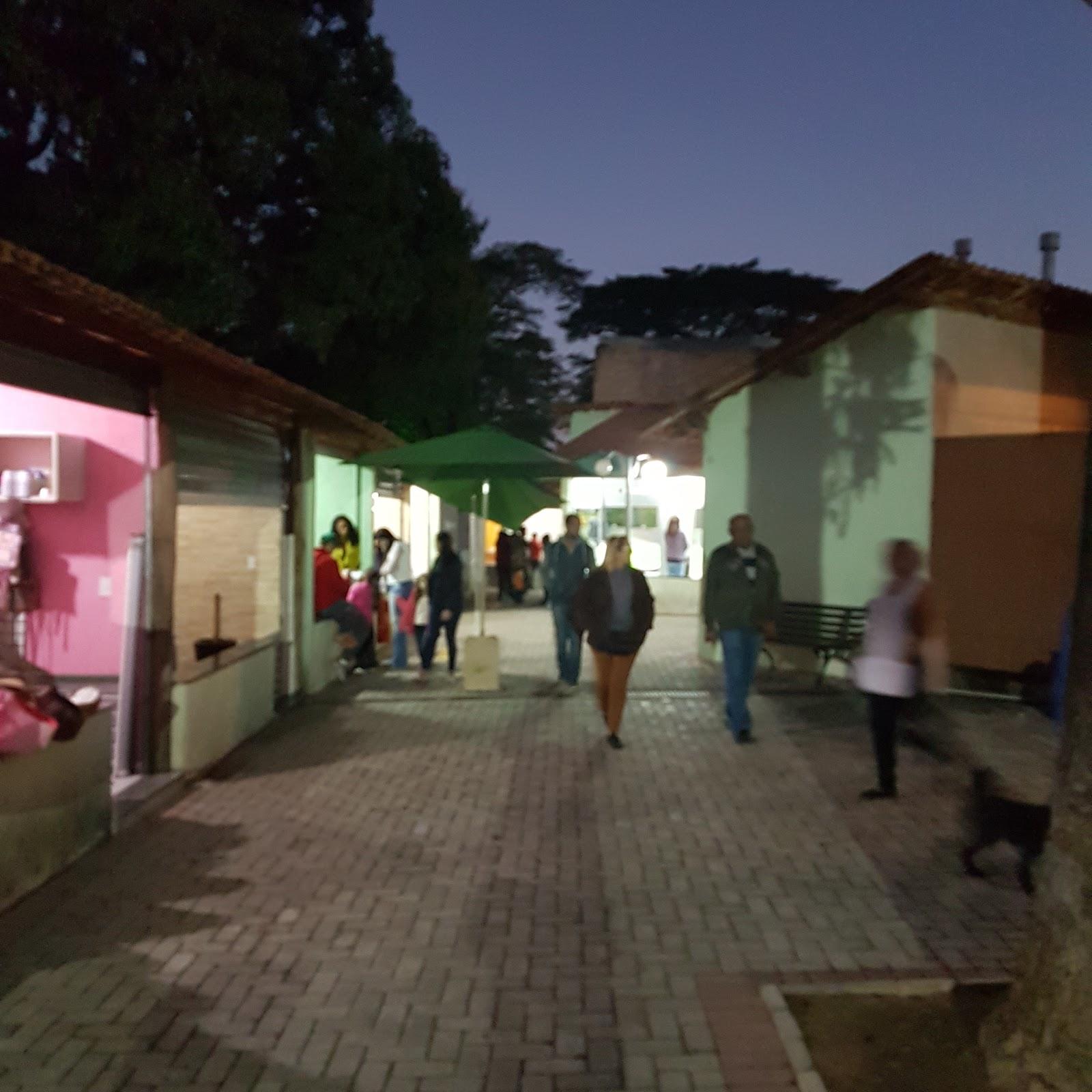 Filhotes Embu das Artes - Foto 5