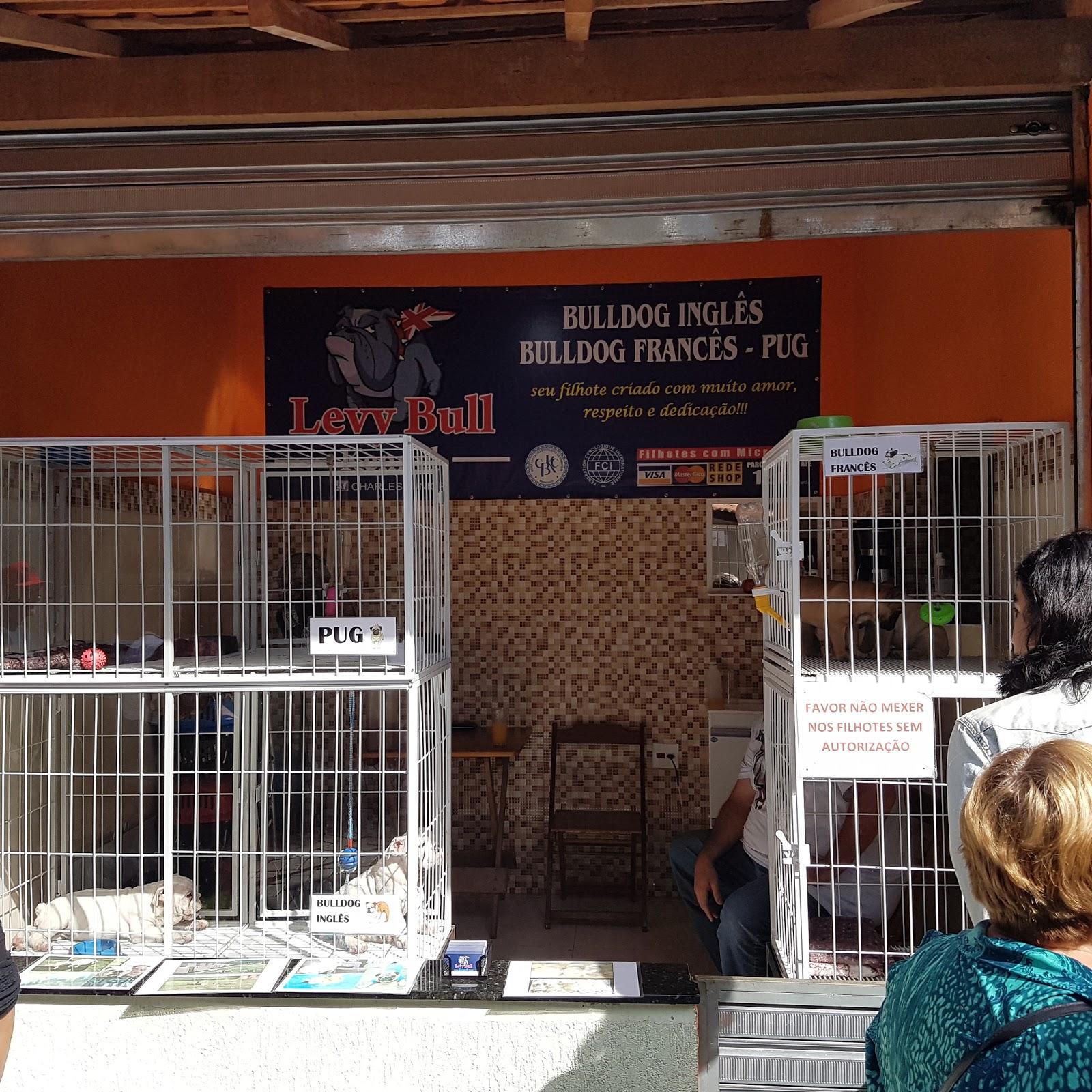 Filhotes Embu das Artes