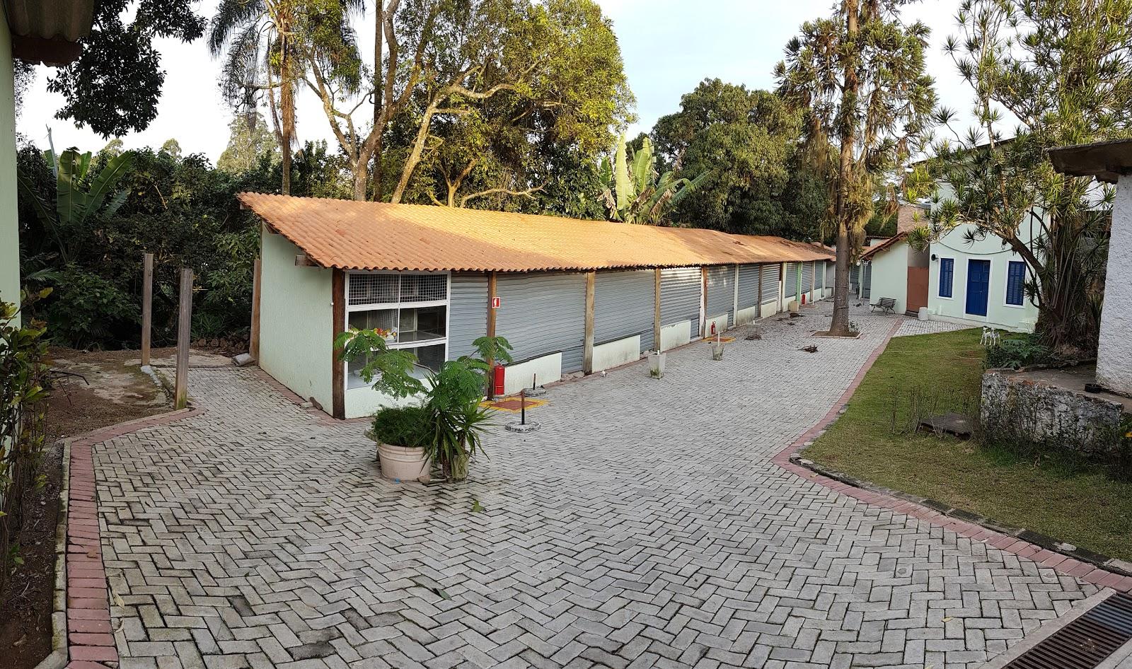 Filhotes Embu das Artes - Foto 3