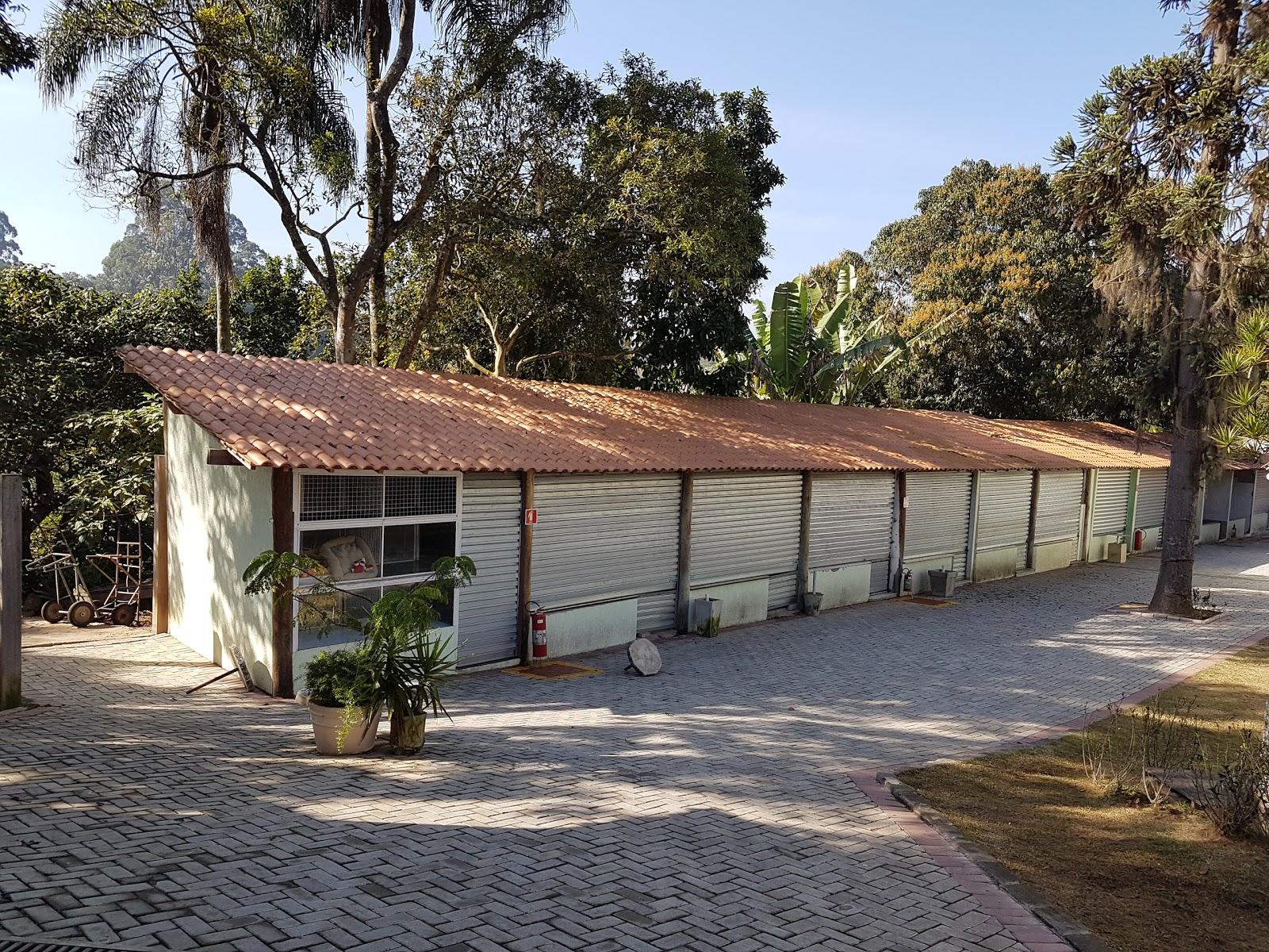 Filhotes Embu das Artes - Foto 4