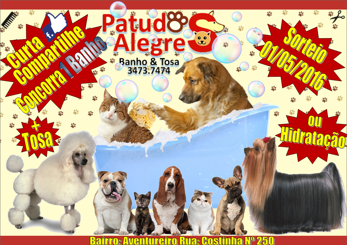 Banho e Tosa - Patudos Alegres - Pet Shop - Hotel Canino