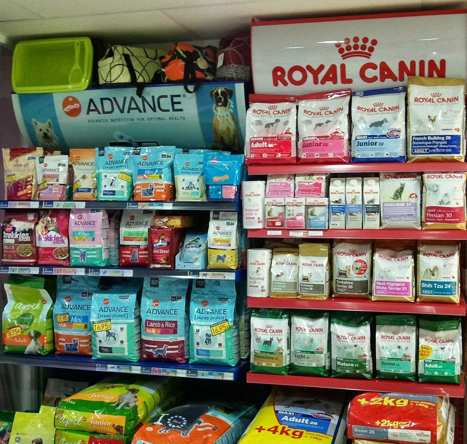Dodos Mascotas - Foto 4