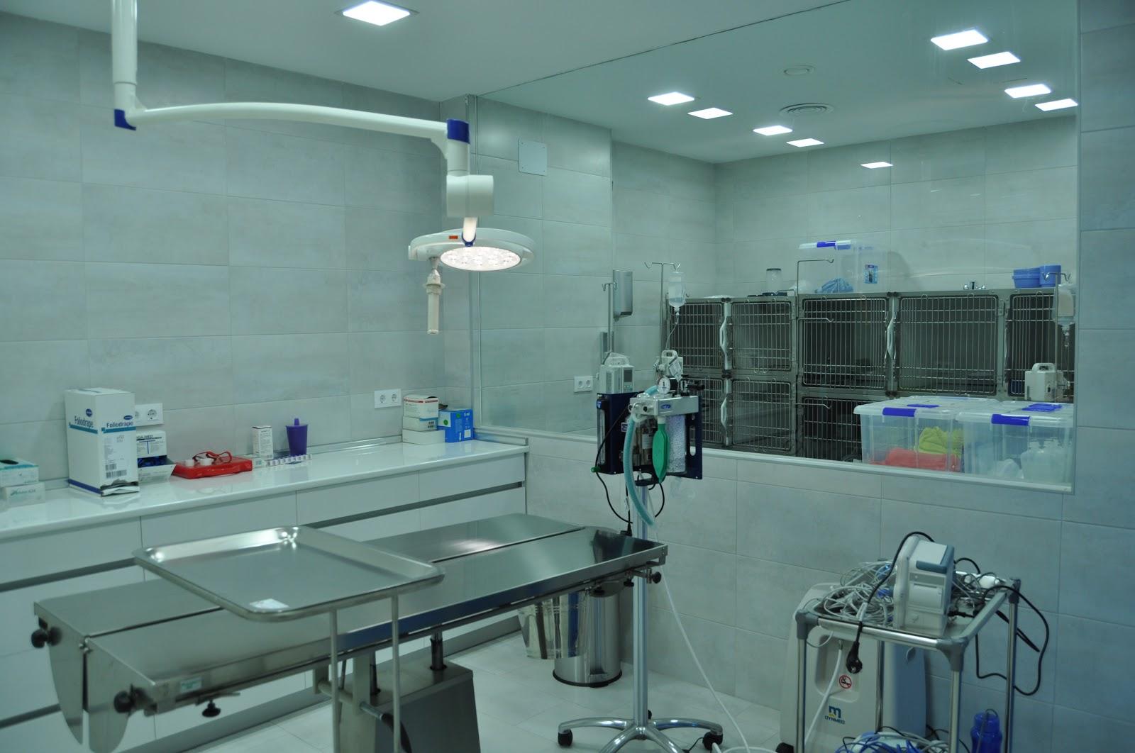 Clínica Veterinaria Jardín de la Reina (URGENCIAS 24 H.)