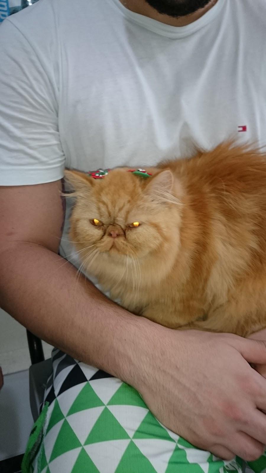 Centro Veterinário de Mossoró