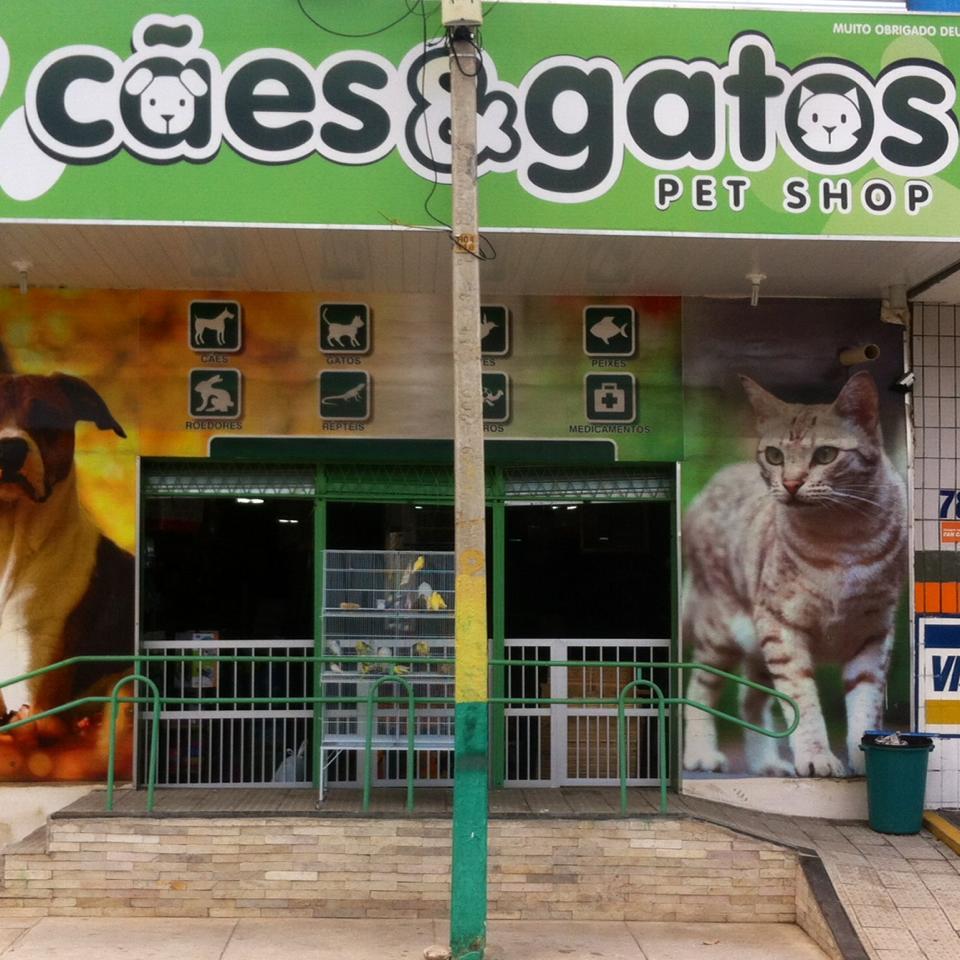 Dogs and cats - Pet Shop em Mossoró