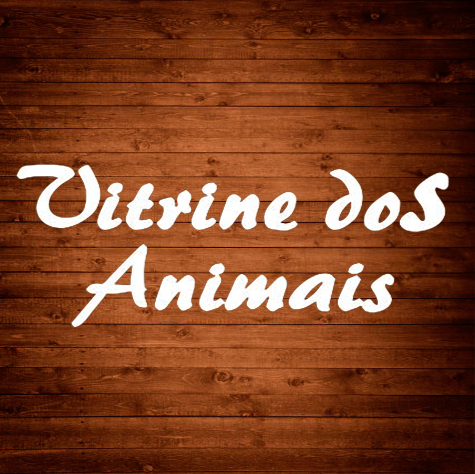 Vitrine dos Animais Loja 2 - Foto 2