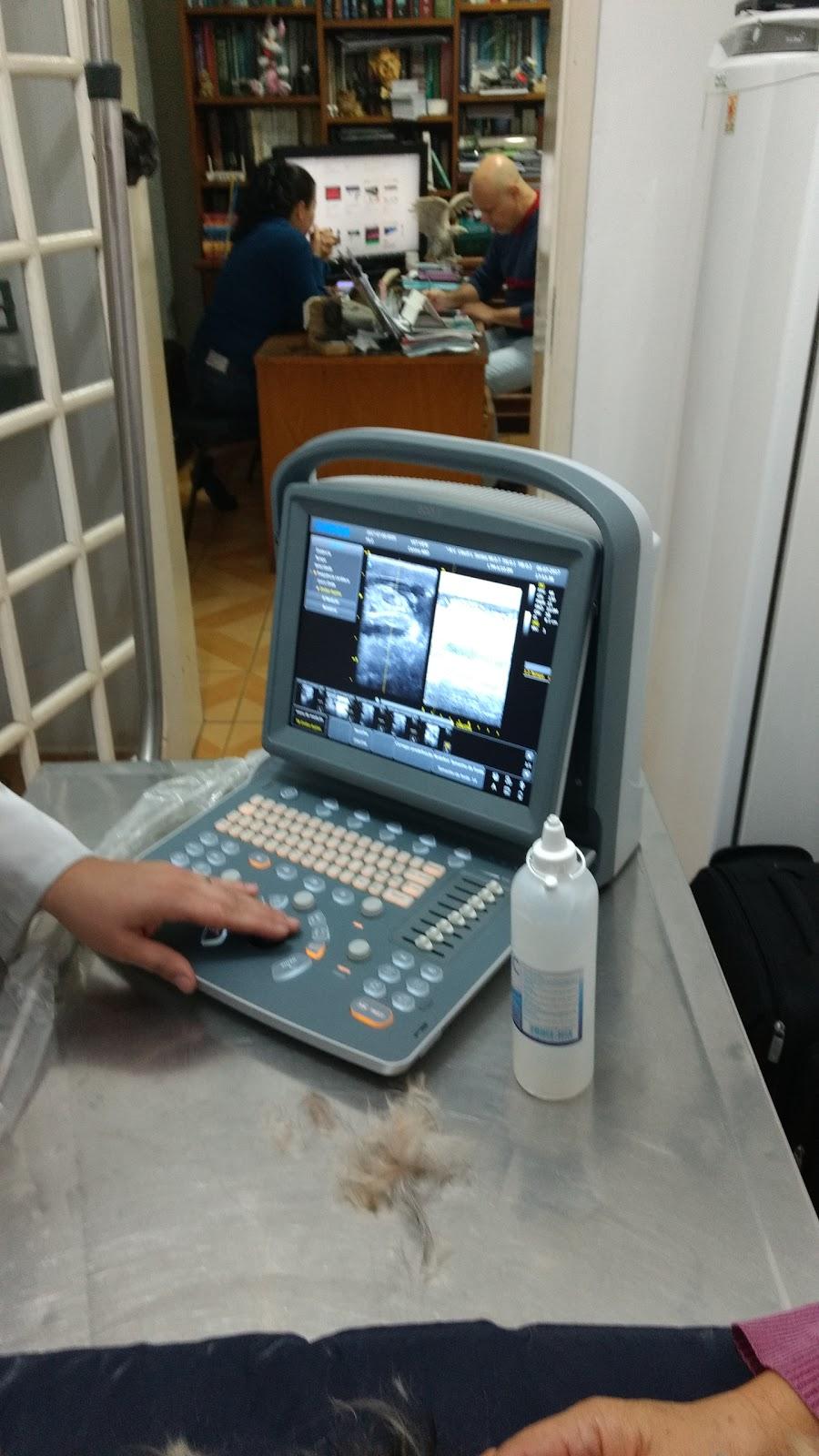 Veterinary Clinic San Francisco