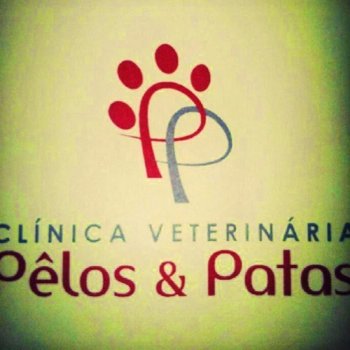 Clínica Veterinária Pêlos e Patas - Foto 2